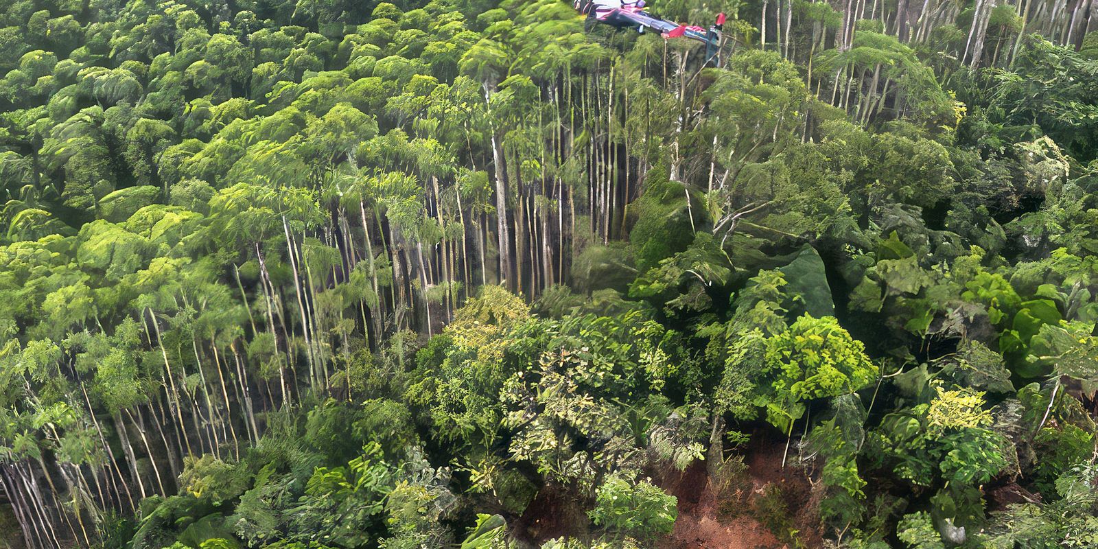 Helicóptero que caiu em Paraibuna bateu em vegetação antes da queda