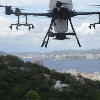 Rio contará com drone e inteligência artificial no reflorestamento