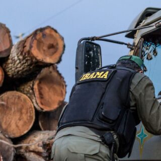 Servidores do Ibama prometem suspender fiscalização ambiental