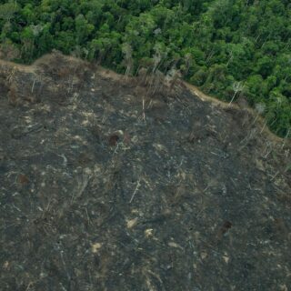 Greenpeace: imagens mostram novas áreas de garimpo em TIs na Amazônia