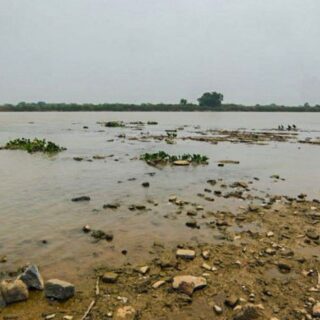 Rio Paraguai registra mínima histórica em ano mais seco no Pantanal