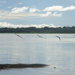 Seca: governo paga auxílio para pescadores da Região Norte