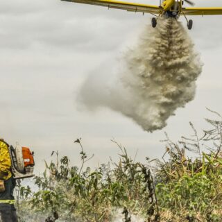 Pantanal: redução da área alagada tem favorecido aumento de incêndios