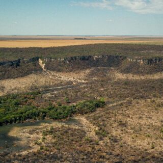 Após cinco anos de aumento, desmatamento no Cerrado tem queda