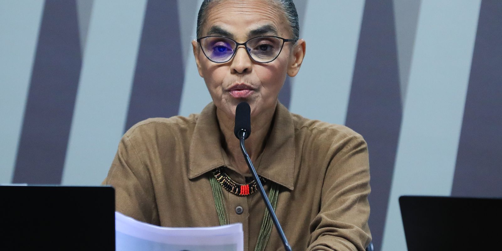 Oposição à proteção ambiental tenta silenciar Marina, dizem analistas